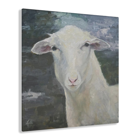 Ewe Staring At Me - Acrylic Print