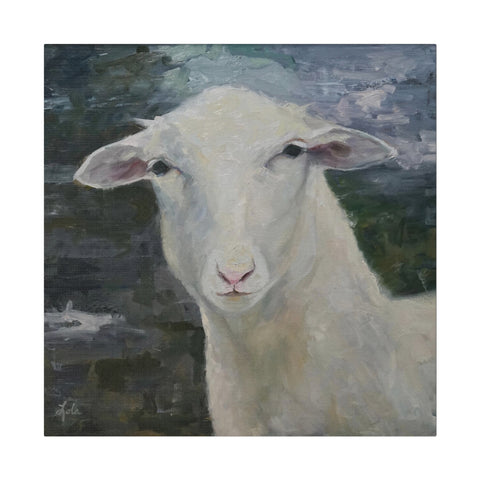 Ewe Staring At Me - Matte Canvas