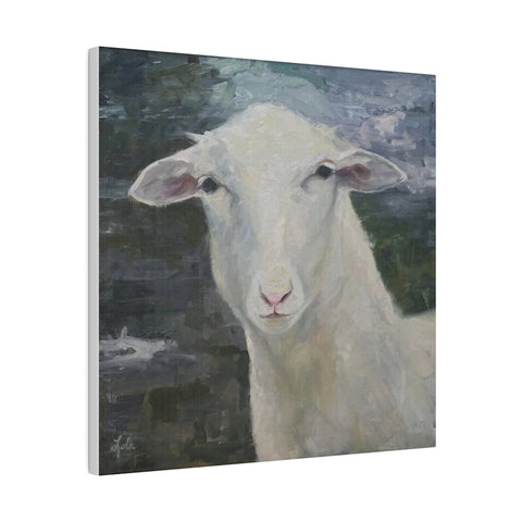 Ewe Staring At Me - Matte Canvas