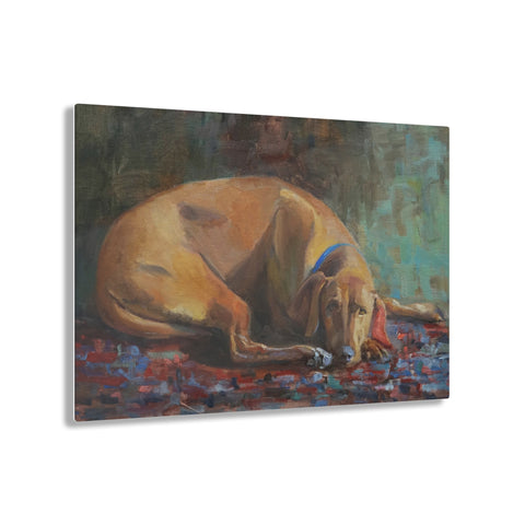 Ruff Life - Acrylic Print