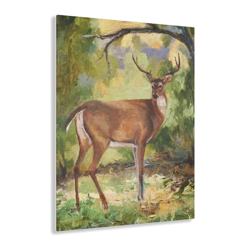 The Buck - Acrylic Print