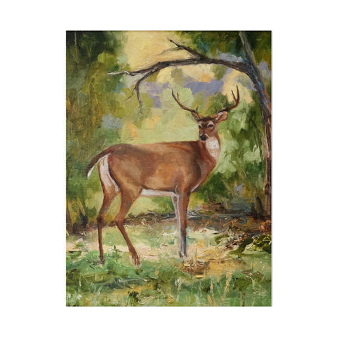 The Buck - Matte Canvas