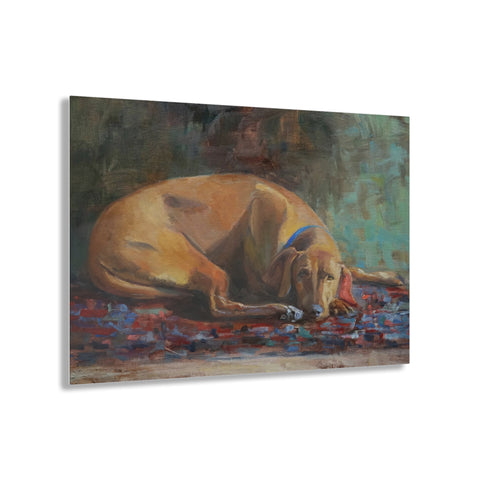 Ruff Life - Acrylic Print