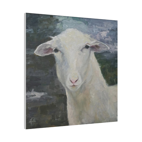 Ewe Staring At Me - Matte Canvas